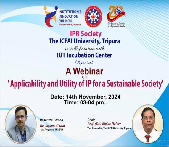 Applicability and Utility of IP for a Sustainable Society